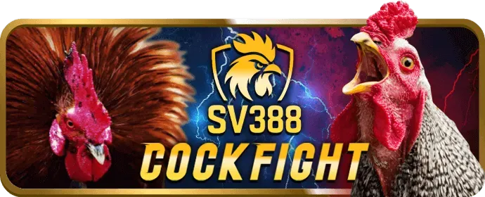 Cá cược thể thao vi88 link vào